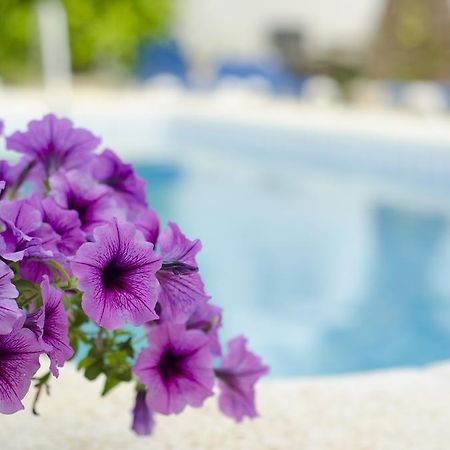 La Crisalida Retreats El Albir Exterior photo