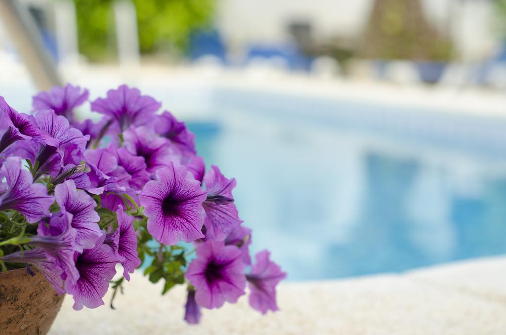 La Crisalida Retreats El Albir Exterior photo